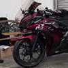 rixlauren - @rixlauren - TikTok