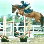 Lauren 🐎 - @lauren_roach12 - Instagram