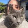 laurenrobinsonart - @laurenrobinsonart - TikTok
