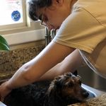 Lauren Rowell - @laurenrowellgrooming - Instagram