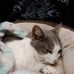 Loren Seaman - Facebook