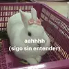 Lauren Son - @laurenson22 - TikTok