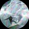 scottlaurenson - @scottlaurens0n - TikTok