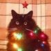 Lauryn Grace Spell - Facebook