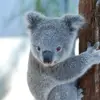 lauren stacy - @lauren._.stacy - TikTok