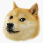 Lauren Stacy - @laurenstac - Instagram
