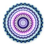 Lauren Steiner - @laurenwdesigns - Instagram