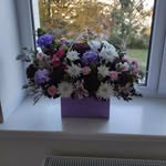 @laure_nstephen - Instagram