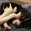 Lauren Stephens - @lauren...stephen - TikTok