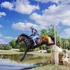 Lauren Sumner - @crossfire.farm - TikTok