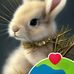 Lauren Taber - Facebook