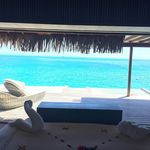Laurence Tesson - @laurence_tesson - Instagram