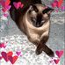 Lauren Wayne-Daley - Facebook
