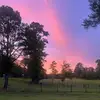 Lauren Wickline - @laurenwickline - TikTok