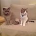 Laurence Baire - Facebook