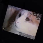 Laurence Baker 💕 - @laurence.baker - Instagram