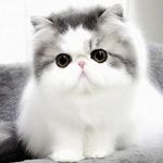 Laurence Jessie Barton - @laurencejessiebarton - Instagram