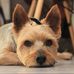 Laurence Becker - Facebook
