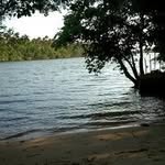 Laurence Bloch - @bloch5350 - Instagram