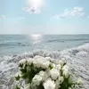 lawrence.burke93410 - @lawrence.burke9347 - TikTok