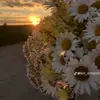 lawrence.burke934 - @lawrence.burke93410 - TikTok