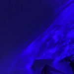 @_laurence__frank_ - Instagram