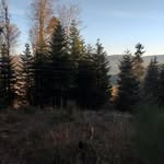 Laurence Holtz - @laurenceholtz - Instagram