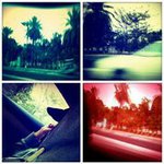 Laurence Lau - @yik_lh6 - Instagram