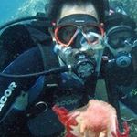 Laurence Lau - @laurencelau1 - Instagram