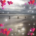 Laurence McCarthy - @laurencemac - Instagram