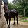 laurencemccarthy6 - @laurencemccarthy6 - TikTok
