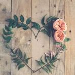 Laurence Monroe - Facebook