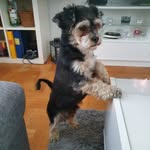 Lawrence Otto - @lawrence.643 - Instagram