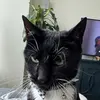 Lauren Patterson - @laurenpatterson48 - TikTok