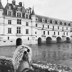 Laurence Lorna Petit - @lornapetitdu76200 - Instagram