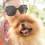 Laurence Petit - @billyboy_petitchien - Instagram