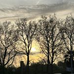 Laurence Petit - @petit_laurence - Instagram