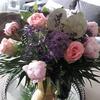 Laurence Petit - @laurence.petit04 - TikTok