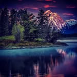 Laurence Robert - @laurence.robert.526 - Instagram