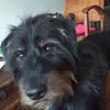 Laurence Robert - @laurence.robert2 - TikTok