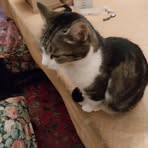 Laurence Robert - Facebook