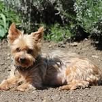 Laurence Ross - @laurence.rossignol.50 - Instagram