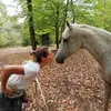 laurencerosse - @laurencerosse - TikTok