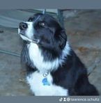 Lawrence Schultz - Facebook