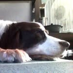 Lawrence Schultz - @lawrenceschultz62 - Instagram