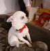 Laurence Vaillant - Facebook