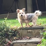 Larry Woods - @lawrence_woods - Instagram
