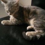 Laurent Bernard - @laurent.bernard.79219 - Instagram