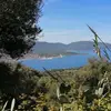 Laurent Dubesset - @laurent.dubesset - TikTok