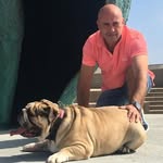 Laurent Labbé - @labbe_laurent_ - Instagram